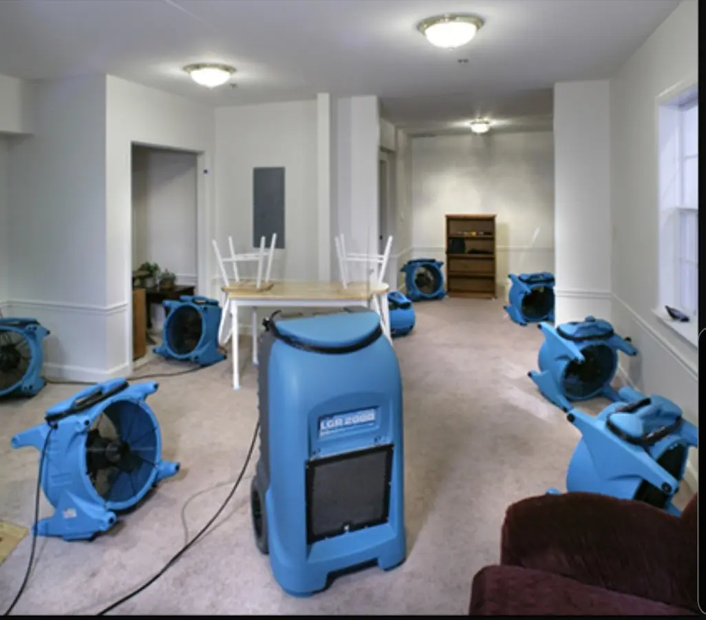 Air movers and dehumidifier setup for Water Extraction & Removal in Woodridge