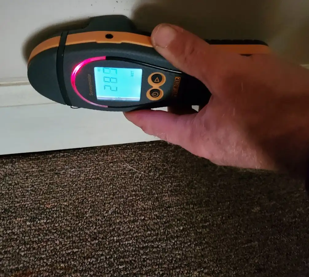 Moisture detection at baseboard during Sewage Cleanup & Sanitation in Woodridge